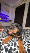 ema.jeann Altpins Profile Picture