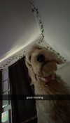ema.jeann Altpins Profile Picture