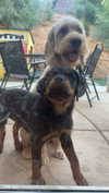ema.jeann Altpins Profile Picture