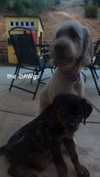 ema.jeann Altpins Profile Picture