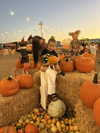 ema.jeann Altpins Profile Picture