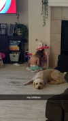 ema.jeann Altpins Profile Picture