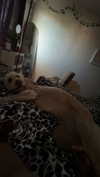 ema.jeann Altpins Profile Picture
