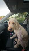 ema.jeann Altpins Profile Picture