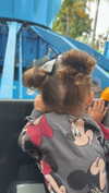 ema.jeann Altpins Profile Picture