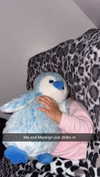 ema.jeann Altpins Profile Picture