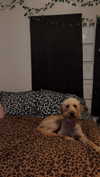 ema.jeann Altpins Profile Picture