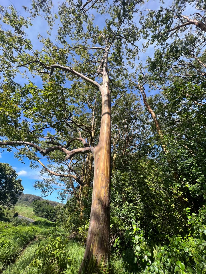 emelye.ender snapchat image archive image