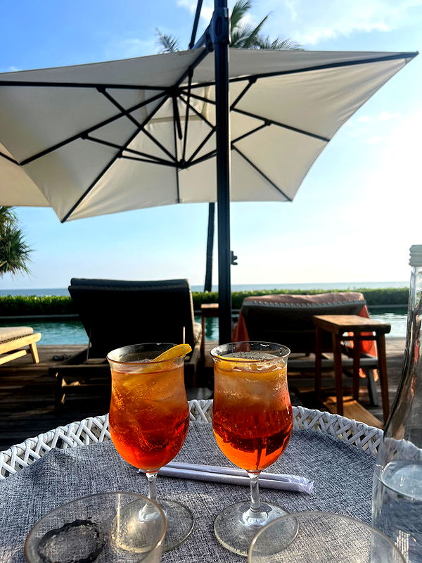 emelye.ender image ~ Altpins