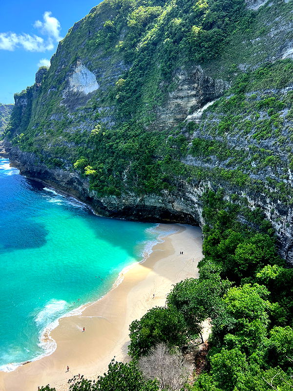 emelye.ender image ~ Altpins