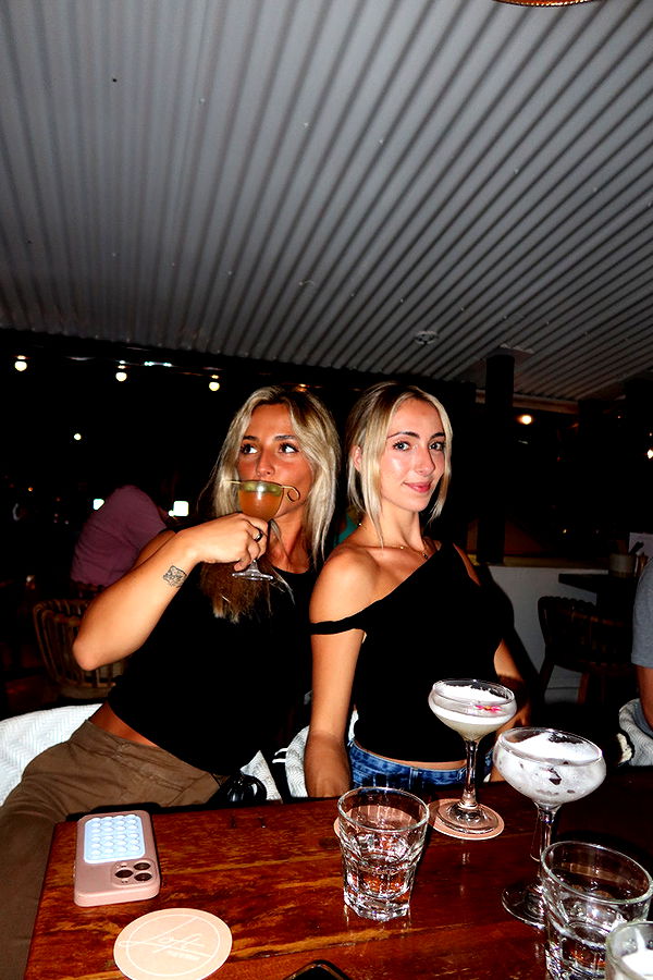 emelye.ender image ~ Altpins