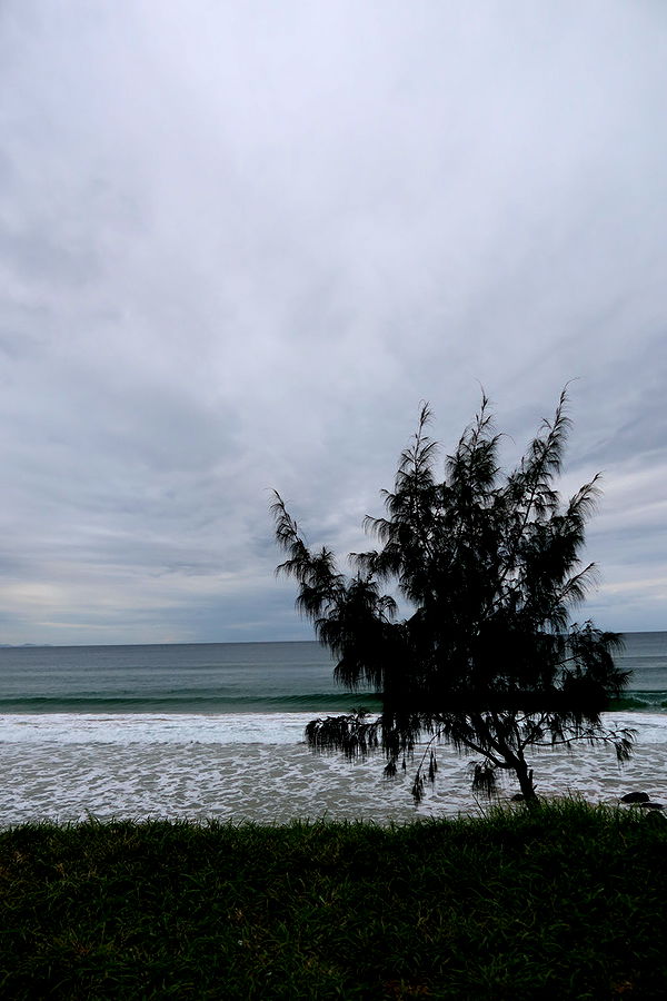 emelye.ender image ~ Altpins