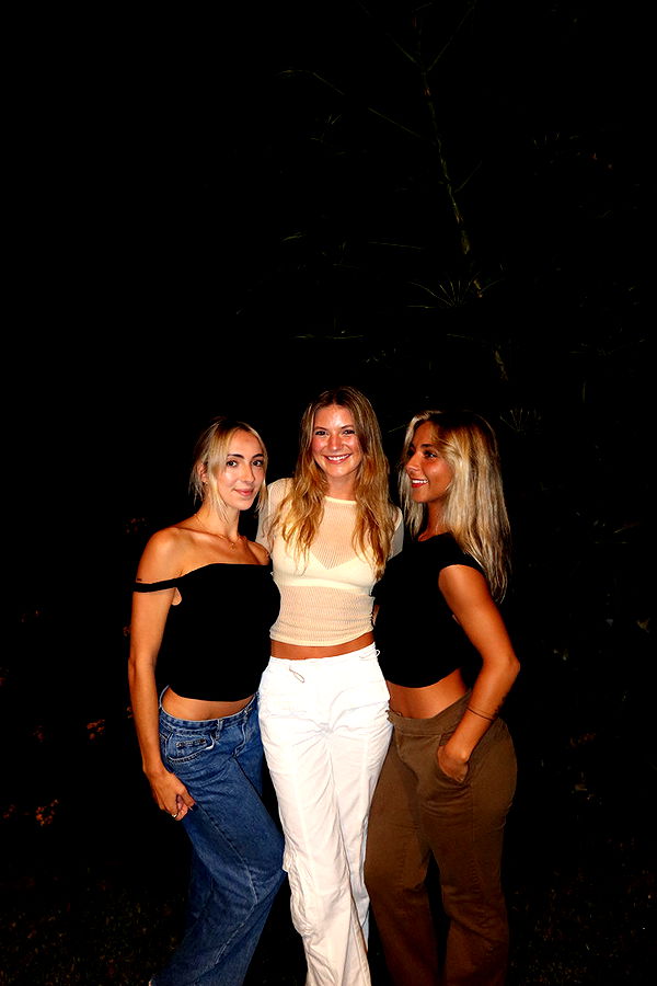 emelye.ender image ~ Altpins