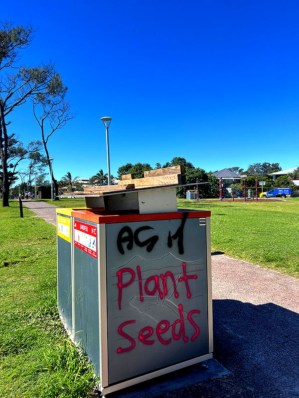 emelye.ender image ~ Altpins