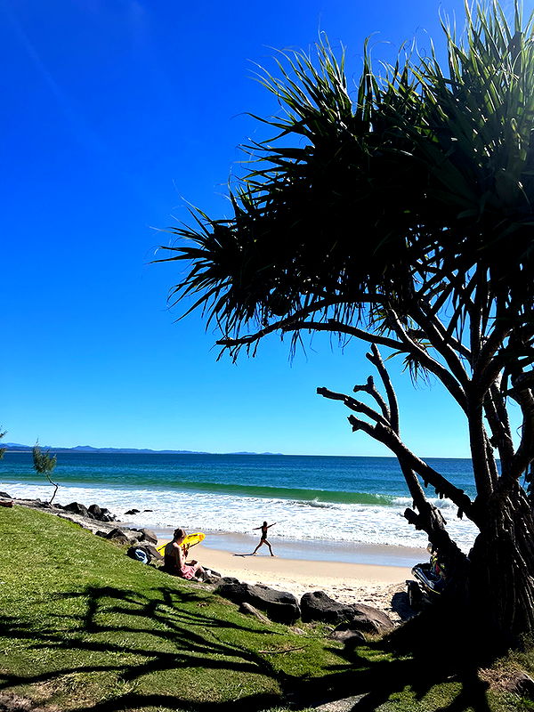 emelye.ender image ~ Altpins