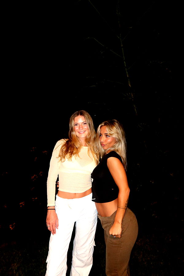 emelye.ender image ~ Altpins