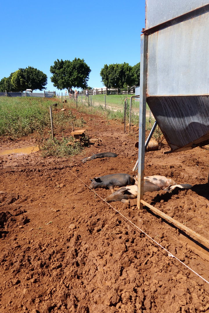 emelye.ender snapchat image archive image