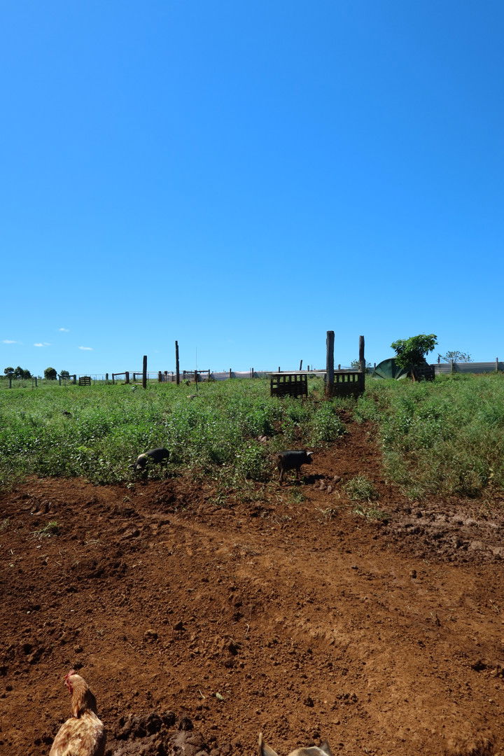 emelye.ender snapchat image archive image