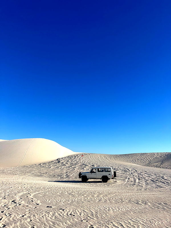 emelye.ender image ~ Altpins