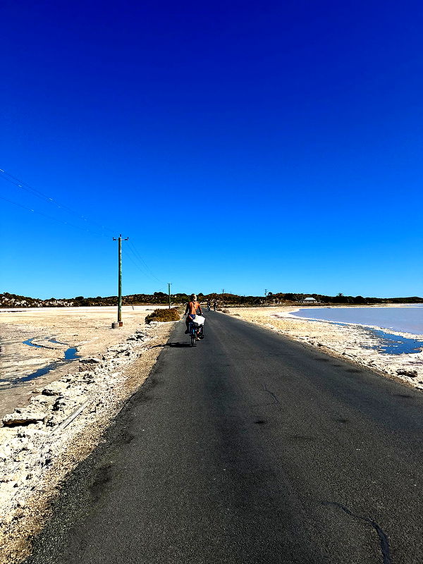 emelye.ender image ~ Altpins