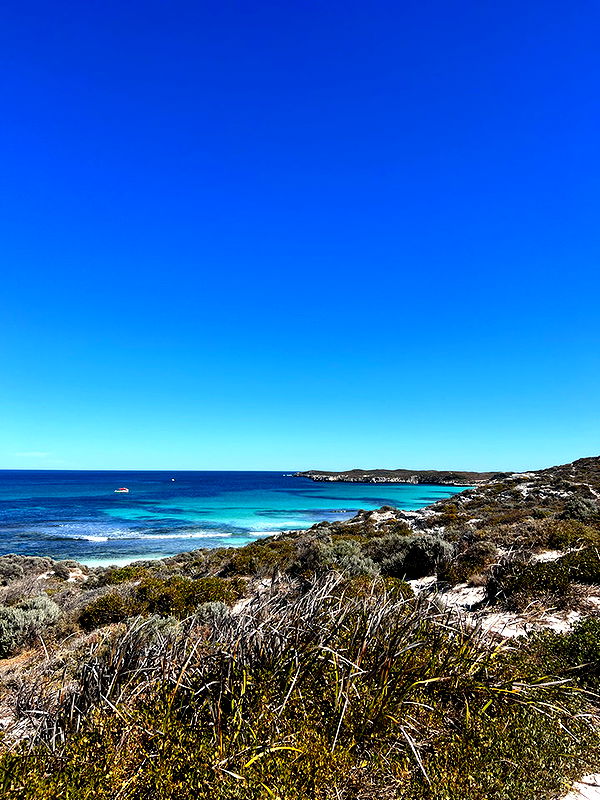 emelye.ender image ~ Altpins