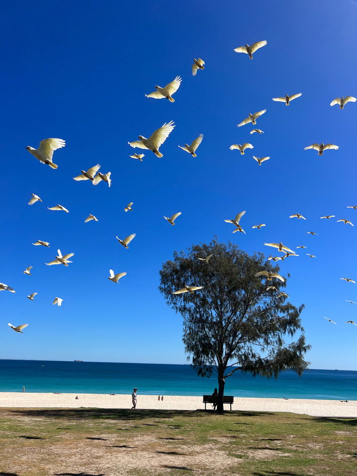 emelye.ender snapchat image archive image