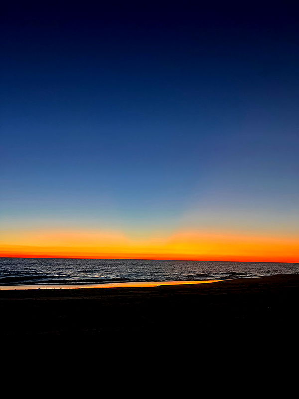 emelye.ender image ~ Altpins