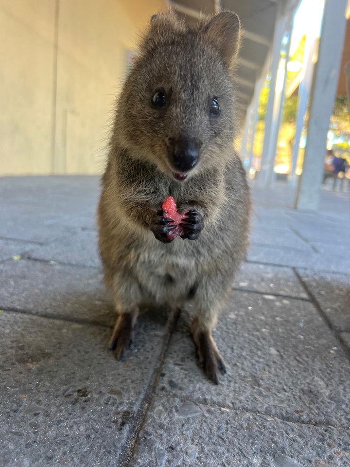 emelye.ender snapchat image archive image