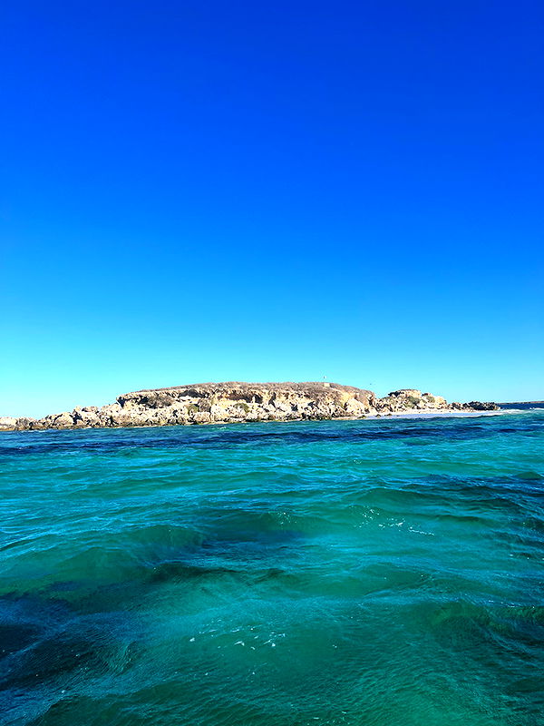 emelye.ender image ~ Altpins