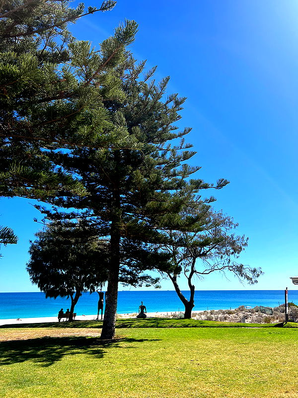 emelye.ender image ~ Altpins