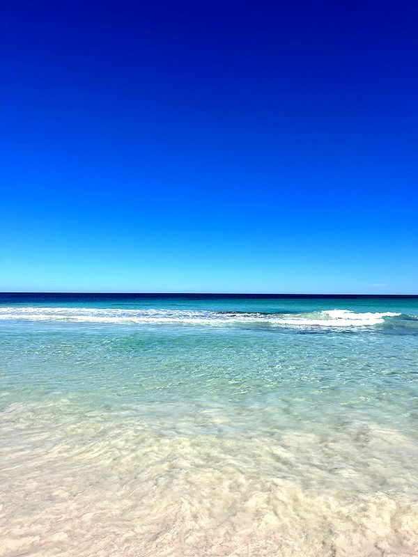 emelye.ender image ~ Altpins