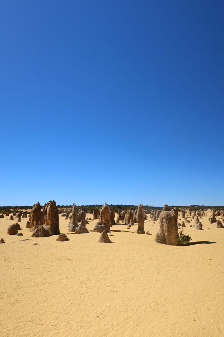 emelye.ender snapchat image archive image