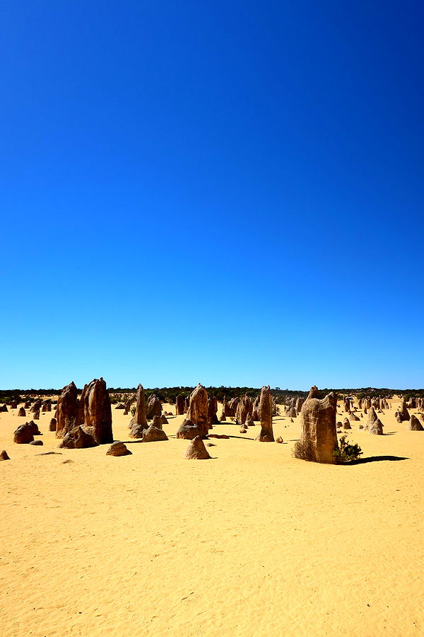 emelye.ender image ~ Altpins