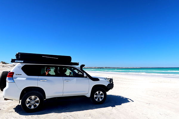 emelye.ender image ~ Altpins