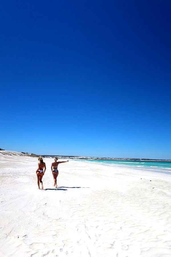 emelye.ender image ~ Altpins