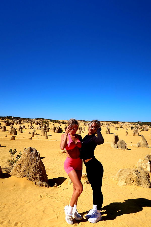 emelye.ender image ~ Altpins