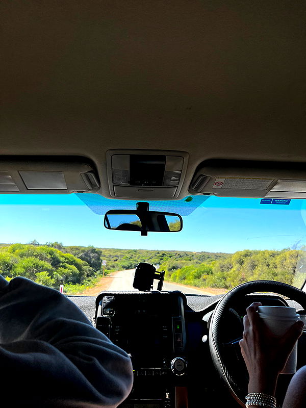 emelye.ender image ~ Altpins