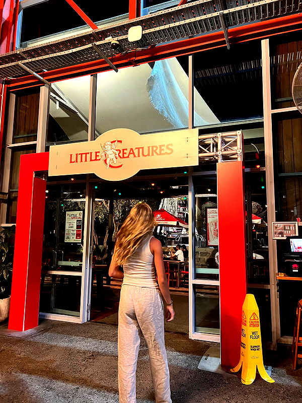 emelye.ender image ~ Altpins