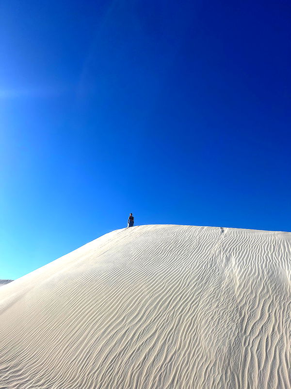 emelye.ender image ~ Altpins