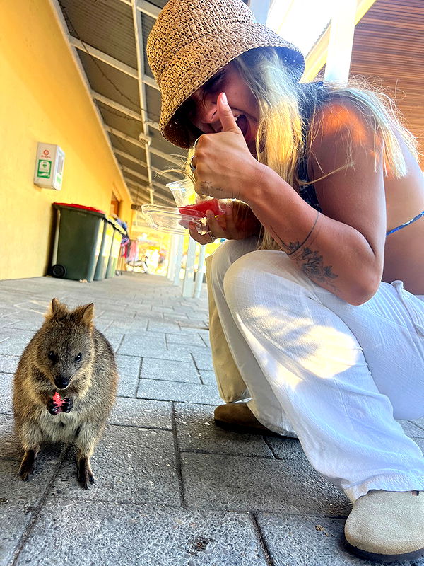 emelye.ender image ~ Altpins