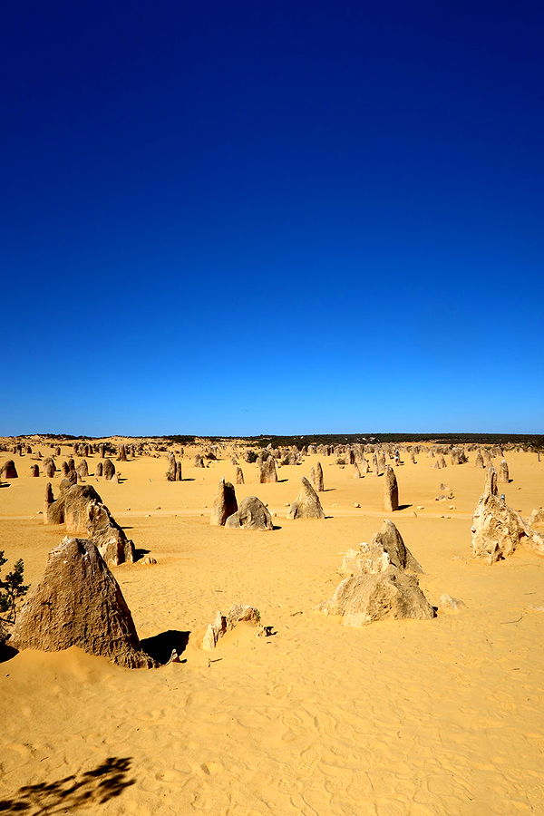 emelye.ender image ~ Altpins