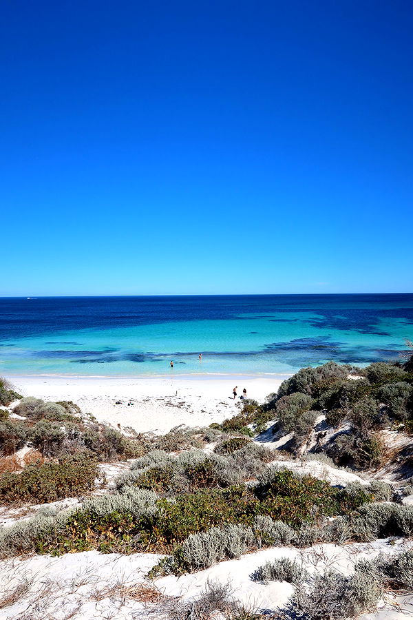 emelye.ender image ~ Altpins