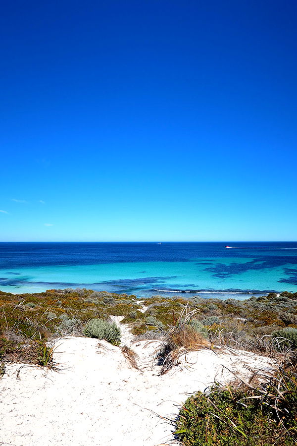 emelye.ender image ~ Altpins