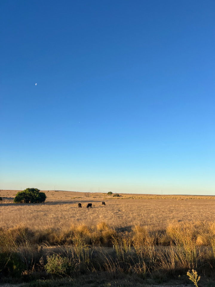 emelye.ender snapchat image archive image