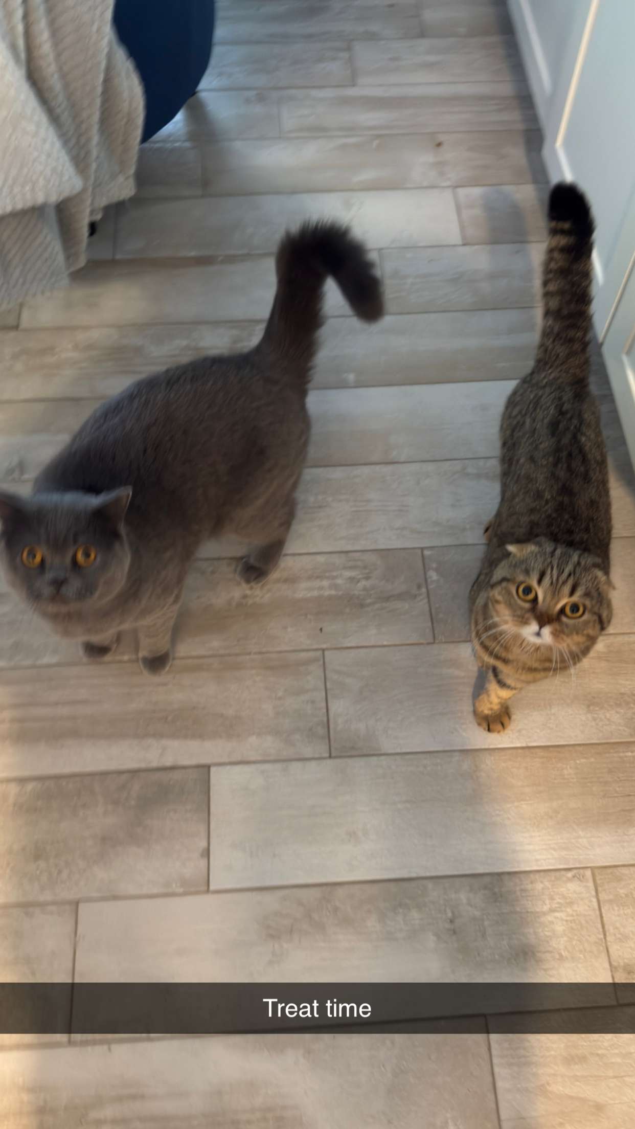 emelye.ender snapchat image archive image