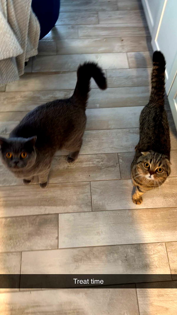 emelye.ender image ~ Altpins