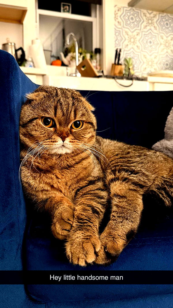 emelye.ender image ~ Altpins