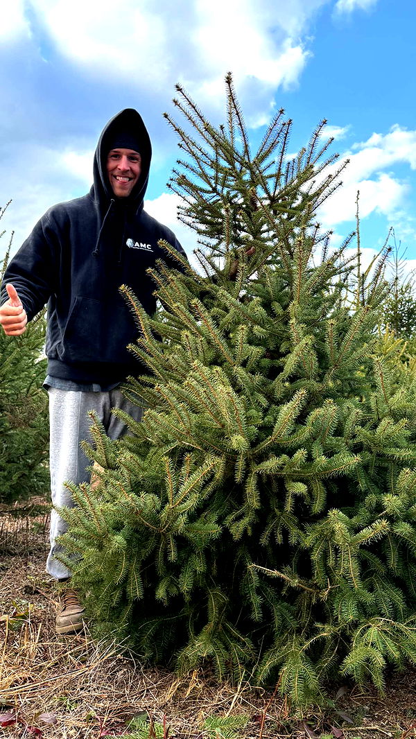 emelye.ender image ~ Altpins