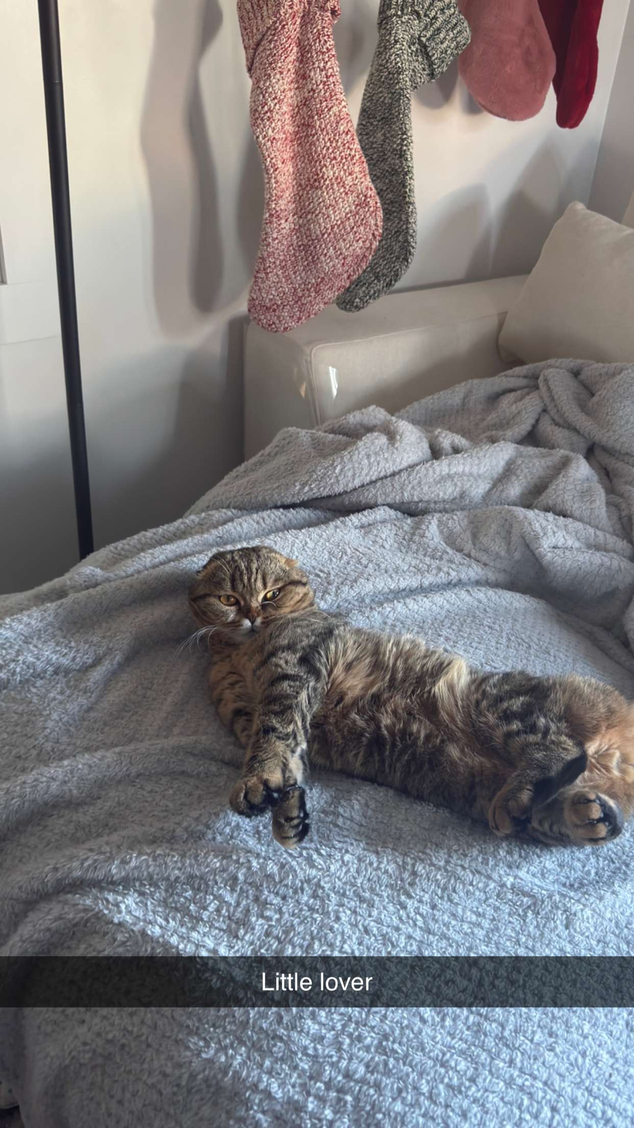 emelye.ender snapchat image archive image