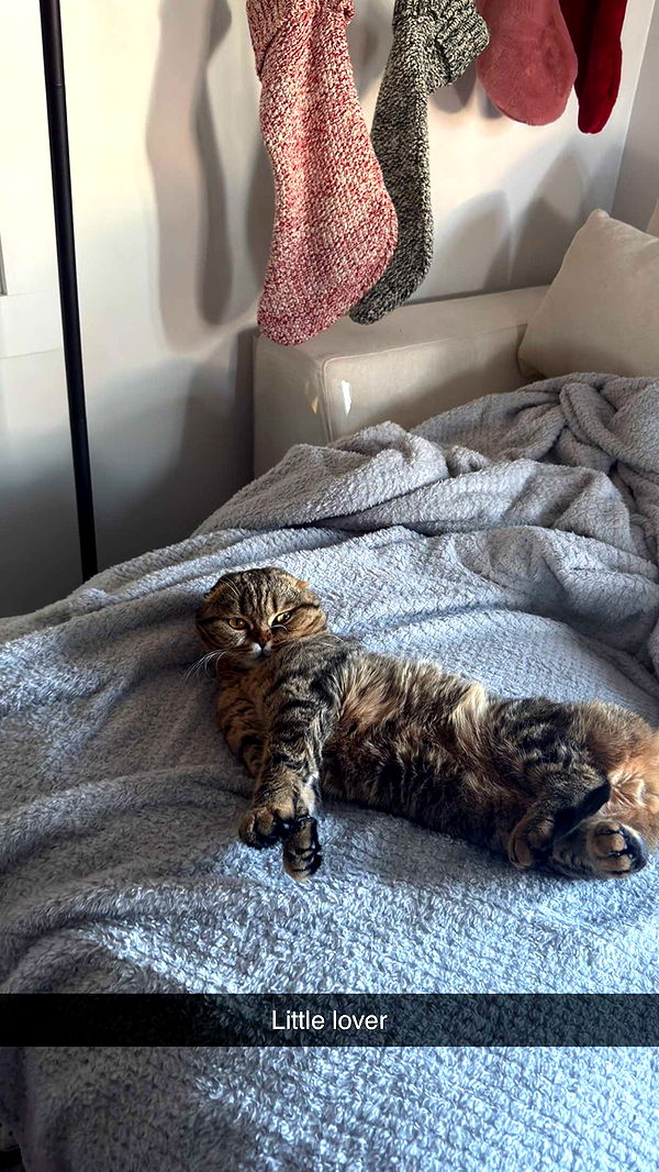 emelye.ender image ~ Altpins